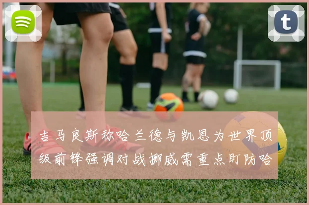 吉马良斯称哈兰德与凯恩为世界顶级前锋强调对战挪威需重点盯防哈兰德